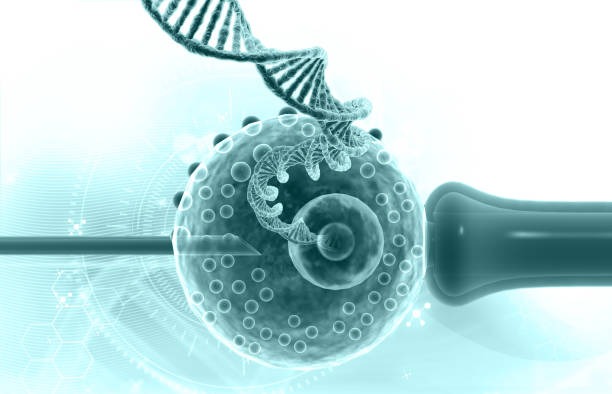 How Much Does IVF Cost in Udaipur?